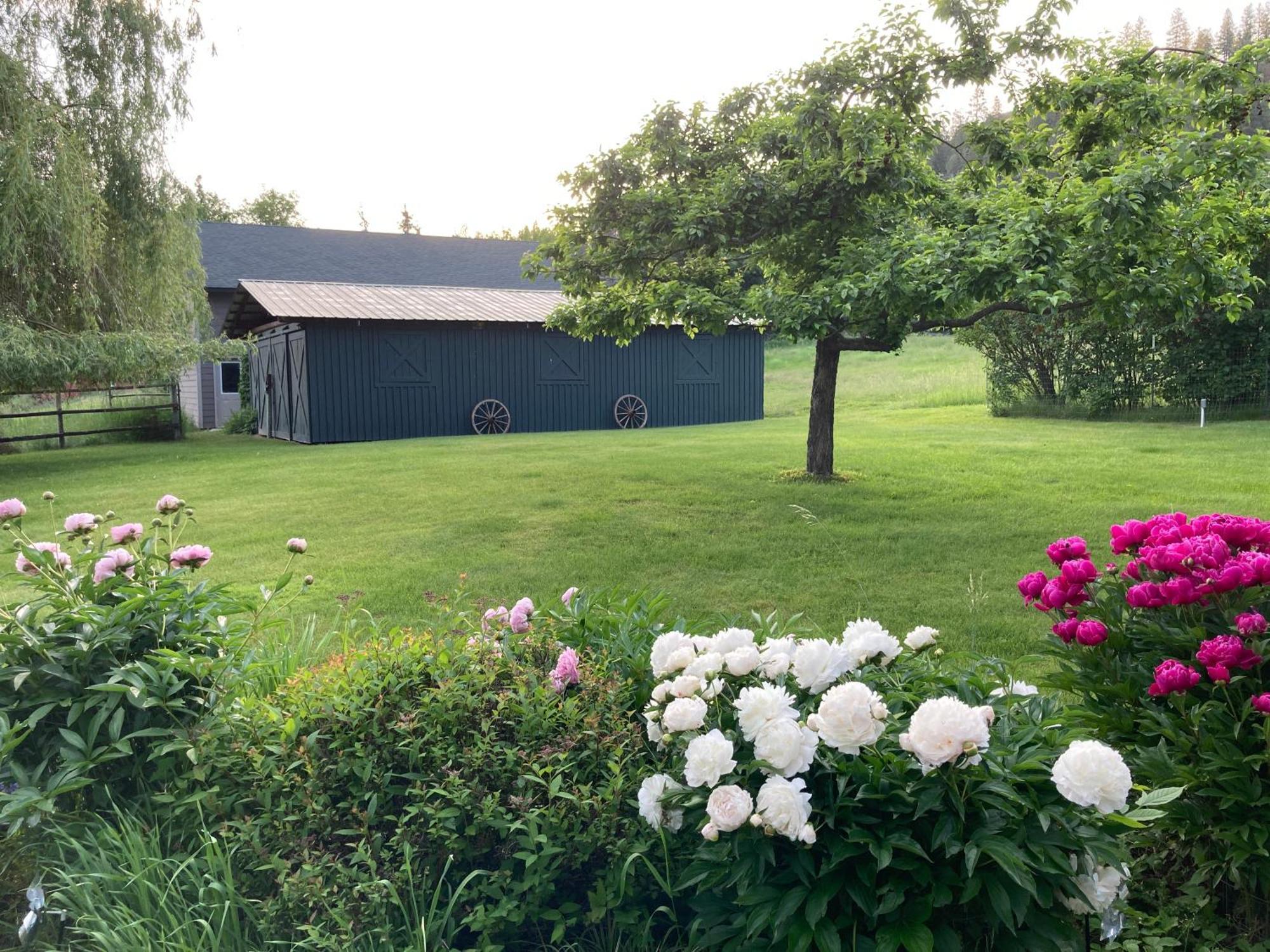 Maison d'hôtes Hideaway Ranch à Bonners Ferry Extérieur photo